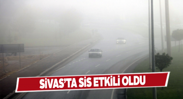 Sivas yoğun sise teslim oldu!
