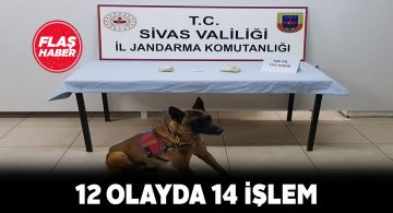 Sivas’ta Jandarma’nın asayiş uygulamaları sürüyor