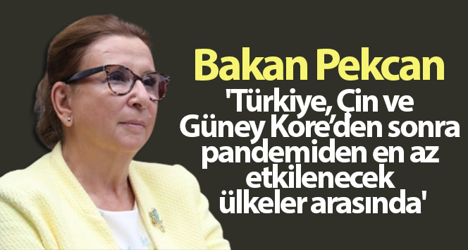 Bakanlar Pekcan: ‘Türkiye, 2020’de Çin ve Güney Kore’den sonra pandemiden en az etkilenen ülkeler arasında olacak’