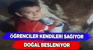 Beslenme dostu okul projesi