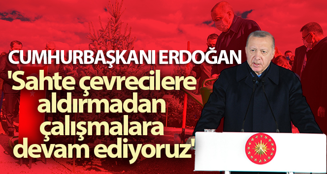 Cumhurbaşkanı Erdoğan: ‘Sahte çevrecilere aldırış etmeden çalışmalarımıza devam ediyoruz’