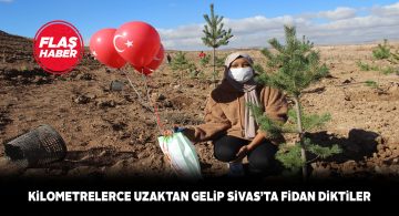 Misafir öğrenciler Sivas’ta onlarca fidan dikti
