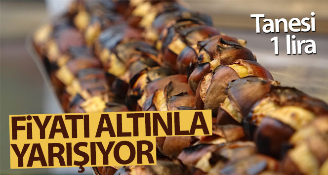Hastalık vurdu, ihracat patladığında fiyat altınla rekabet etmeye başladı