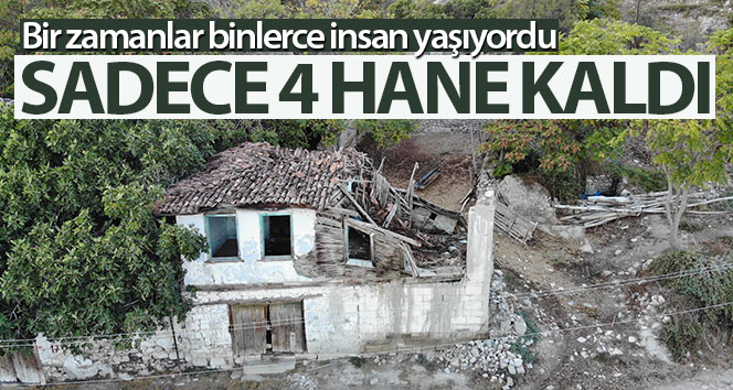 Herkes gitti, gitmediler
