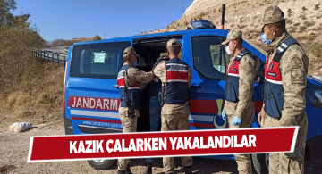 Orman Bölge Müdürlüğünün kazıklarını çalıyorlardı