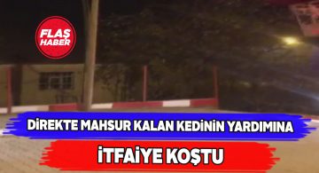 Telefon direğine çıkan kediyi itfaiye kurtardı