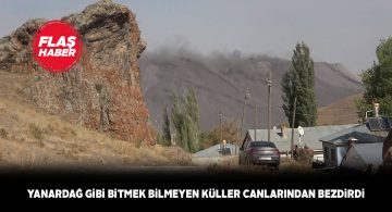 Kangal ilçesindeki kül dağı çilesi köylüleri bunaltıyor