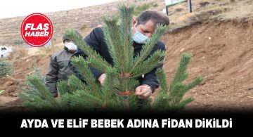 Mucize bebekler adına Sivas’ta fidan dikimi yapıldı