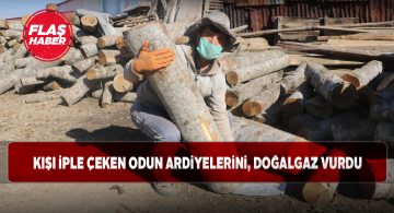 Odun ardiyeciliğinde işler iyi gitmiyor
