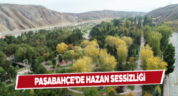 Soğuk havaların gelmesiyle Paşabahçe sessizliğe büründü