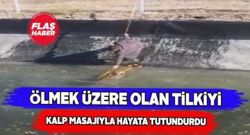 Buz tutan kanala düşen tilkiyi vatandaşlar kurtardı
