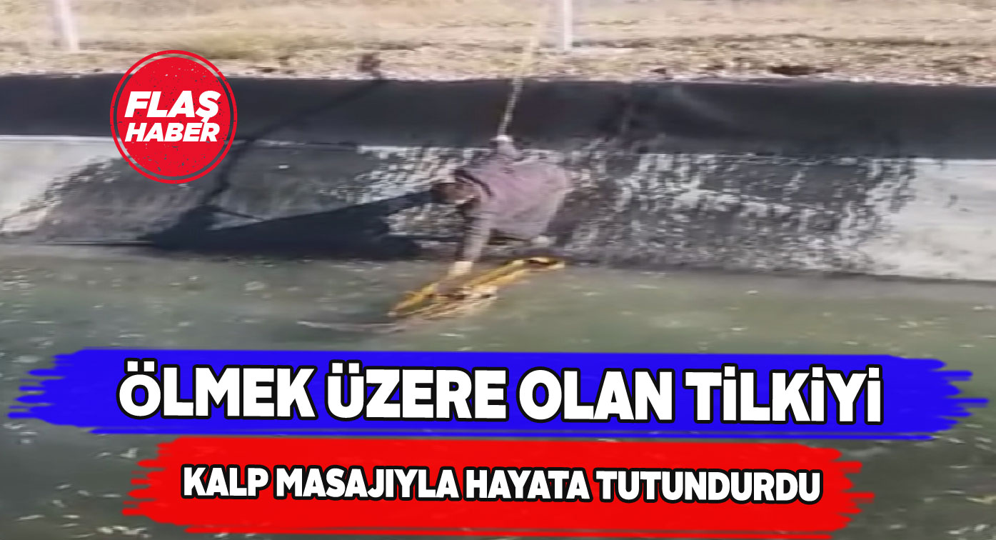 Buz tutan kanala düşen tilkiyi vatandaşlar kurtardı