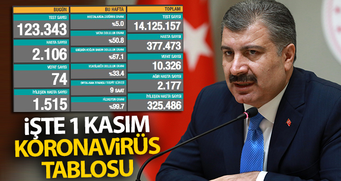 Türkiye’de son 24 saatte 2106 kişiye Kovid-19 teşhisi konuldu, 74 kişi hayatını kaybetti