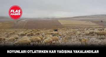 Gürünlü çobanlar yoğun kara yakalandı