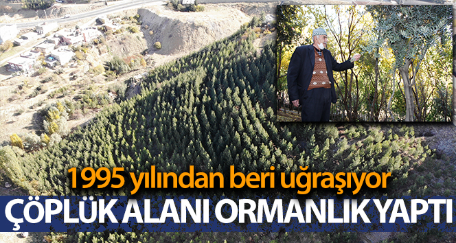 10 bin fidan dikip çöplüğü ormana çevirdi