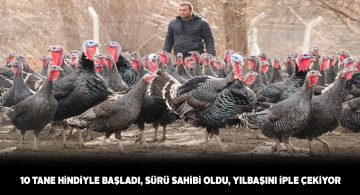 10 hindi ile çiftlik kuran iş insanı yılbaşı taleplerinden memnun