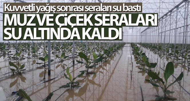 Antalya’da yoğun yağış sonrası seralar sular altında kaldı