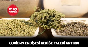 Ata bitkisi kekik popüler hale geldi