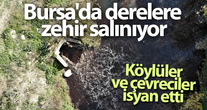 Bursa’da akarsulara zehir salınıyor