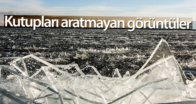 Çıldır Gölü’nde arktik görüntüler