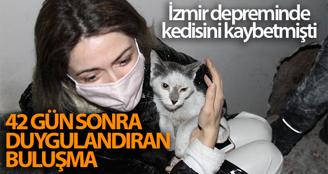 Depremden 42 gün sonra kayıp kedisini aldı