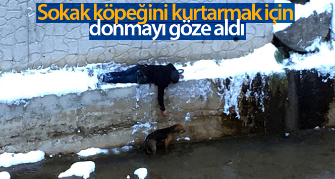 Gümüşhane’den soğuk bir kış gününde sıcacık görüntüler