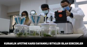 Her türlü kuraklığa dayanıklı bitki üretecekler