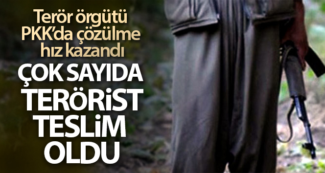 İçişleri Bakanlığı: ‘PKK’dan kaçan 7 terörist daha güvenlik güçlerine teslim oldu’