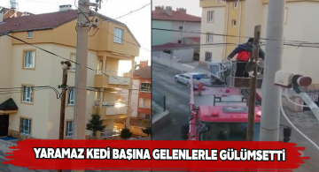 İtfaiyenin kurtarmaya geldiği kedi kendi kendine aşağı indi