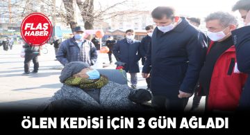 Hayvan sever engelli kadın 8 kediye bakıyor