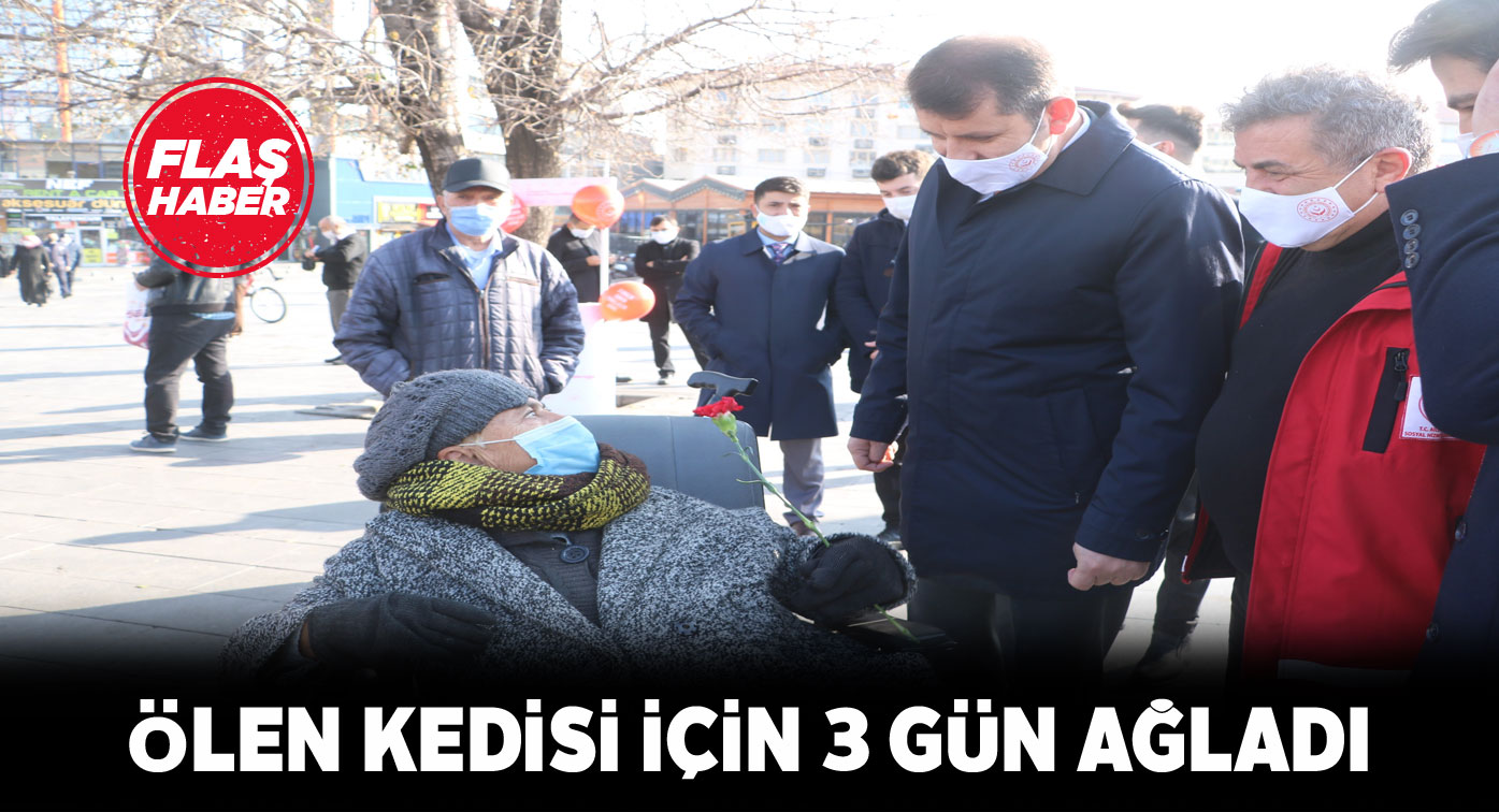 Hayvan sever engelli kadın 8 kediye bakıyor