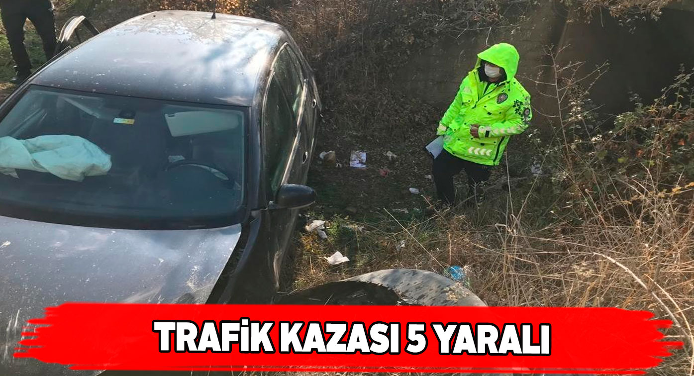 Koyulhisar’da araç şarampole uçtu
