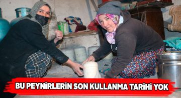 Güney köyünün doğal küp peynirleri kumdan çıkarılıyor