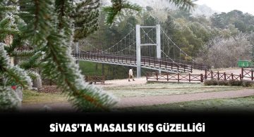 Paşabahçe mesire alanında muhteşem görüntüler