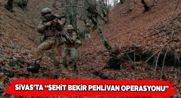 Sivas İl Jandarma Komutanlığı’ndan terör operasyonu