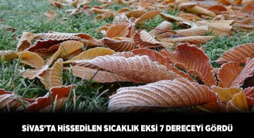 Sivas’ta termometreler eksi dereceleri göstermeye devam ediyor