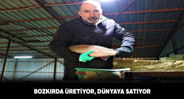 Sivas’ta üretilen alabalık tüm dünyaya satılıyor