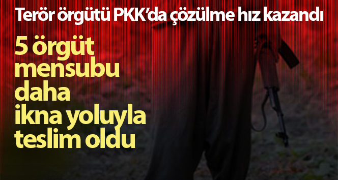 Terör örgütü PKK’da parçalanma ivme kazanıyor, 5 örgüt üyesi daha ikna edilerek teslim oldu