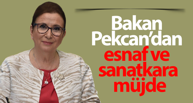 Ticaret Bakanı Ruhsar Pekcan’dan esnaf ve sanatkârlara müjde