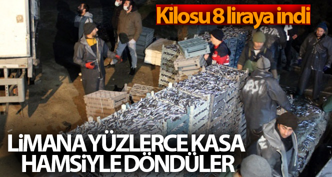 Yüzlerce kasalı hamsiyle limana döndüler: Ağırlığı 8 liraya düştü.