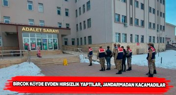 Hanlı köyündeki hırsızlar kıskıvrak yakalandı