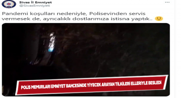 Aç kalan tilkiyi polis memurları besledi