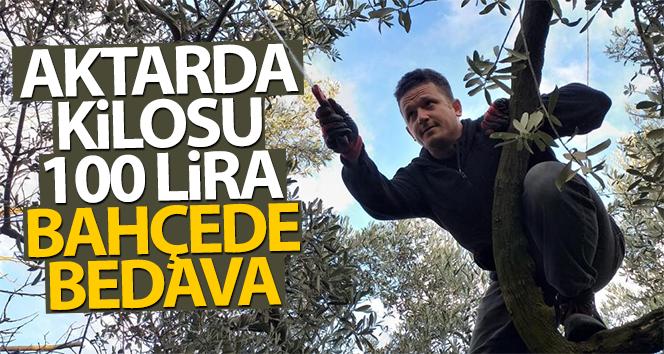 Aktarda kilosu 100 lira, bahçede bedava