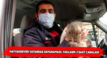 Aracının altına kaçan kediyi kendi imkanları ile çıkardı