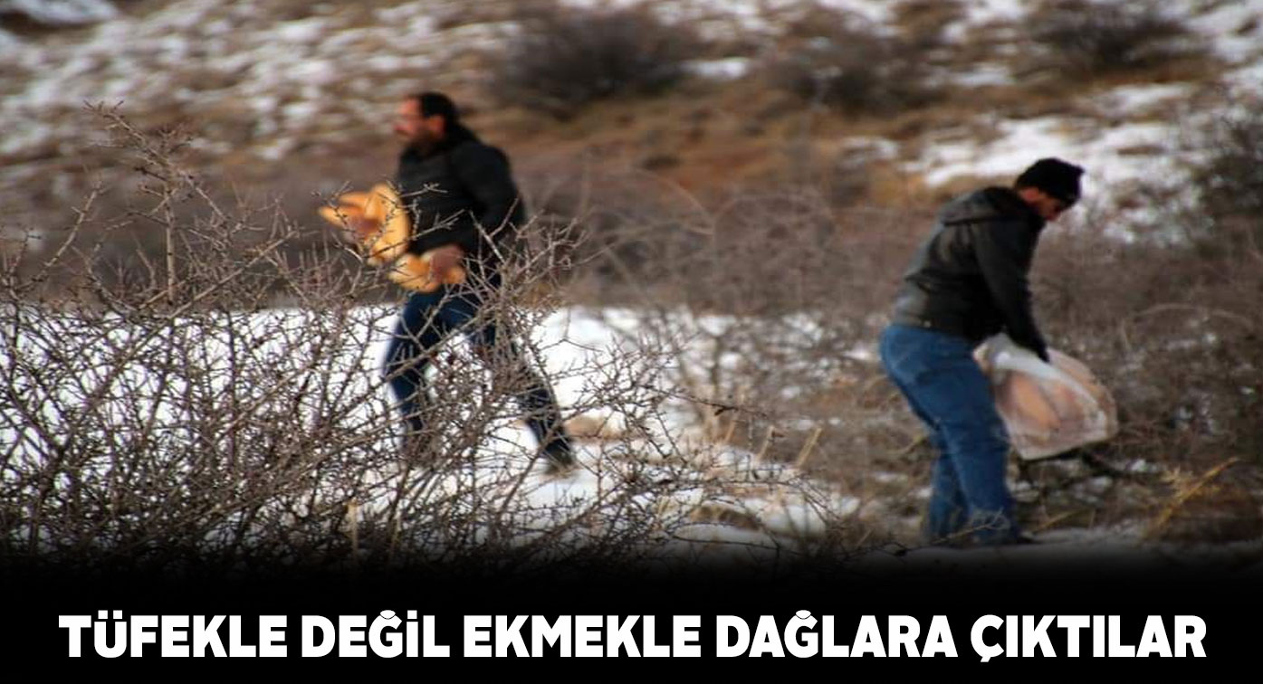 Şarkışla ilçesinde bir grup esnaf doğaya yem bıraktı