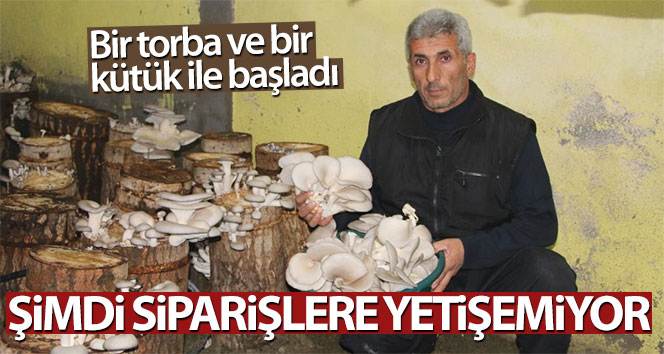 Bir torba ve bir kütük ile başladı şimdi siparişlere yetişemiyor