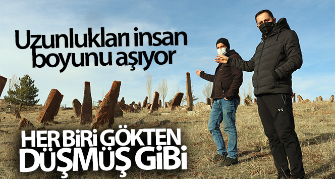Boyları insan boyunu aşıyor, her biri cennetten düşmüş gibi