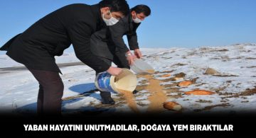 Altınyayla ilçesinde çiftçiler doğaya yem bıraktı