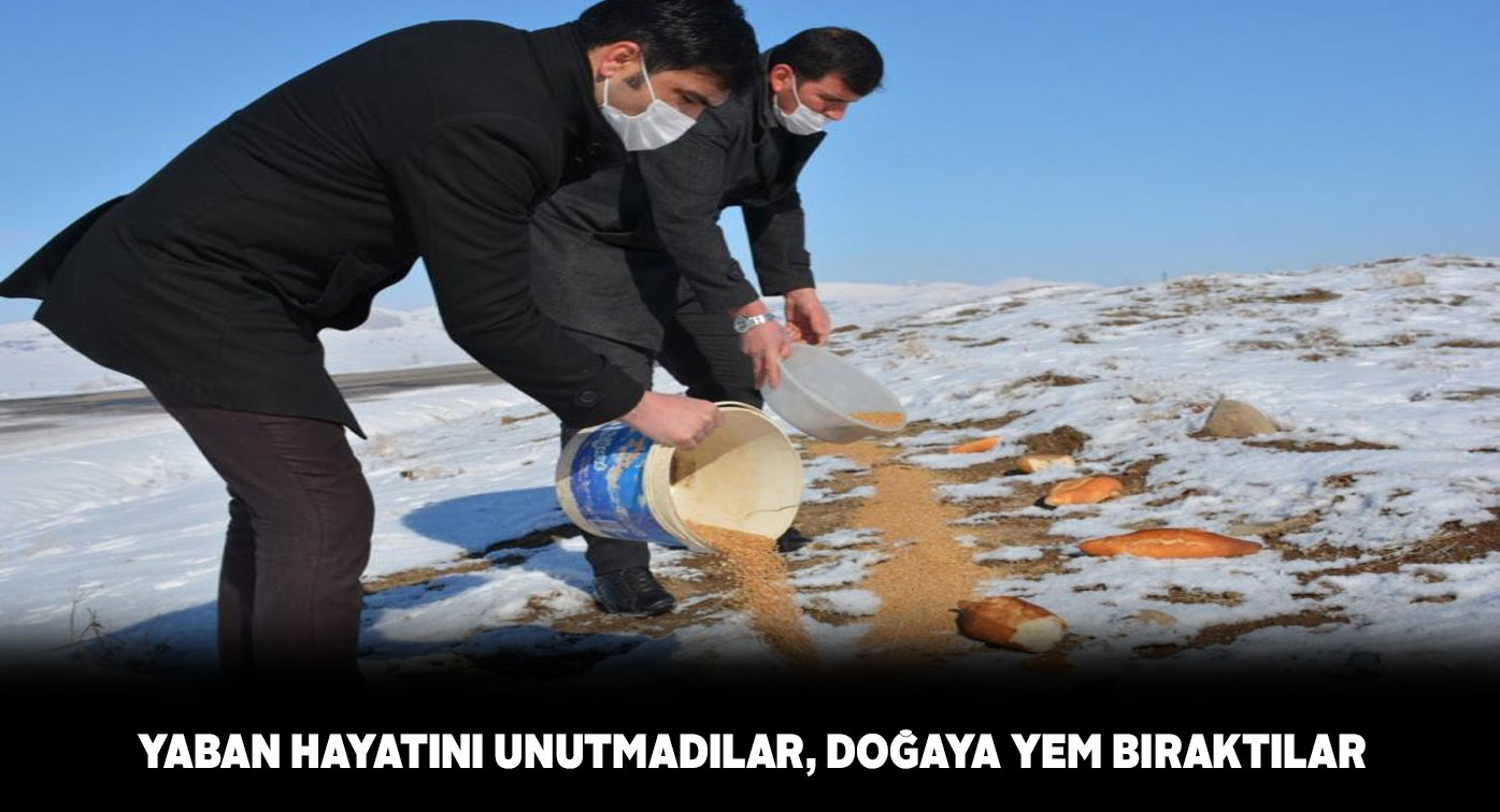 Altınyayla ilçesinde çiftçiler doğaya yem bıraktı