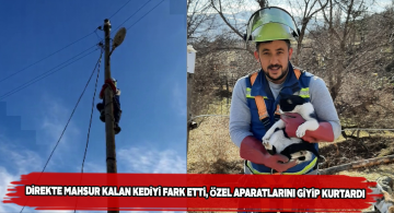 Çıktığı direkten inemeyen kediyi ÇEDAŞ çalışanı kurtardı